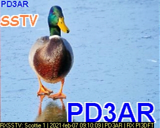 PD3AR: 2021-02-07 de PI3DFT