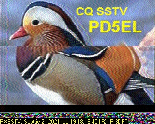 PD5EL: 2021-02-19 de PI3DFT
