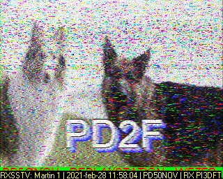 PD50NOV: 2021-02-28 de PI3DFT