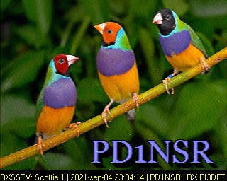 PD1NSR: 2021-09-04 de PI3DFT