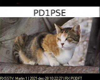 PD1PSE: 2021-12-28 de PI3DFT