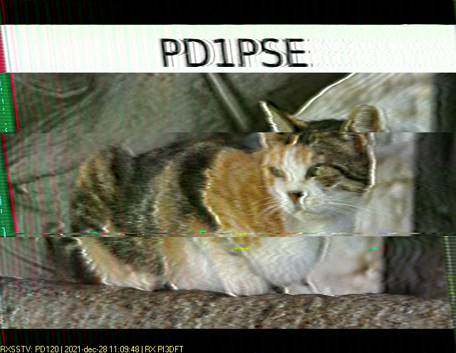 PD1PSE: 2021-12-28 de PI3DFT