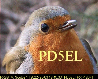 PD5EL: 2022-02-03 de PI3DFT